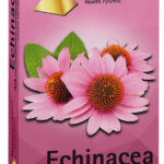 Таблетки Эхинацея (Echinacea) N30